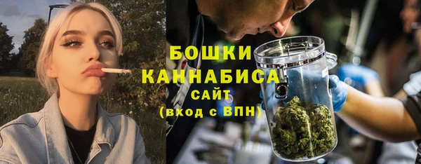 Альфа ПВП Белокуриха